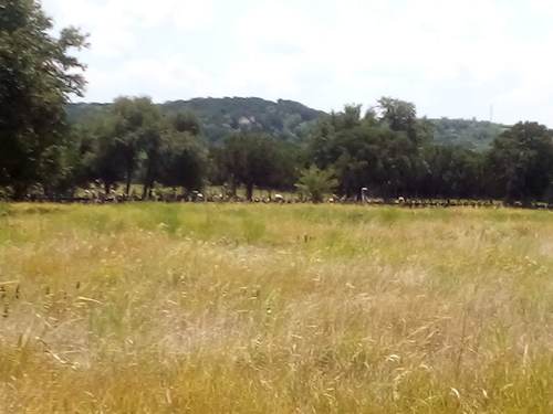 Bosque County TX - Cedron Cemetery