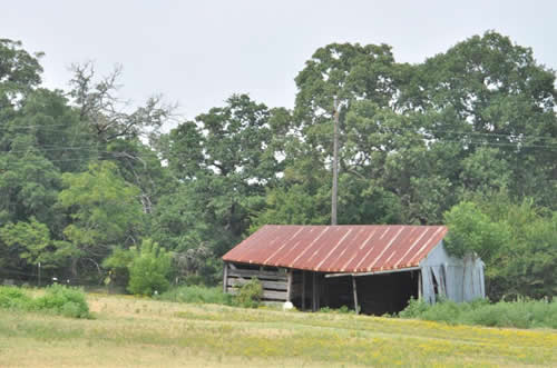 Direct TX - Old Shed