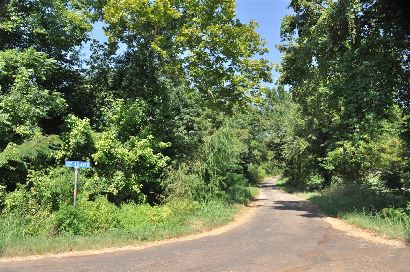 Medill TX - country road