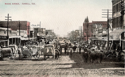 Cotton Scenes -  Terrell TX1 909