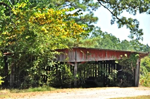 Cuthand TX - Old shed