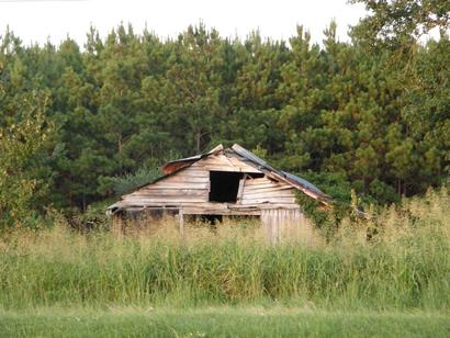 A view of Woods Texas from Hwy 59