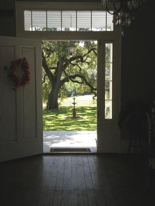  Looking out to Groce's Folly from Liendo Plantation TX 