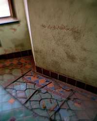 Baker Hotel, Baker suite breakfast toom, Mineral Wells, Texas