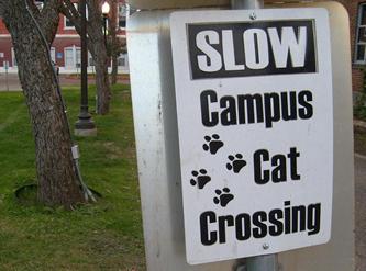 Alamo Height TX, Incarnate Word Campus, sign