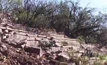 Ruins with cactus