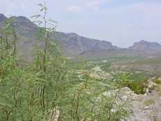 Rio Grande, Big Bend National Park