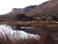 Signal Peak reflected in mountain leak